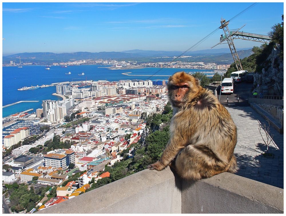 Blick auf Gibraltar