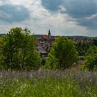 Blick auf Gochsheim