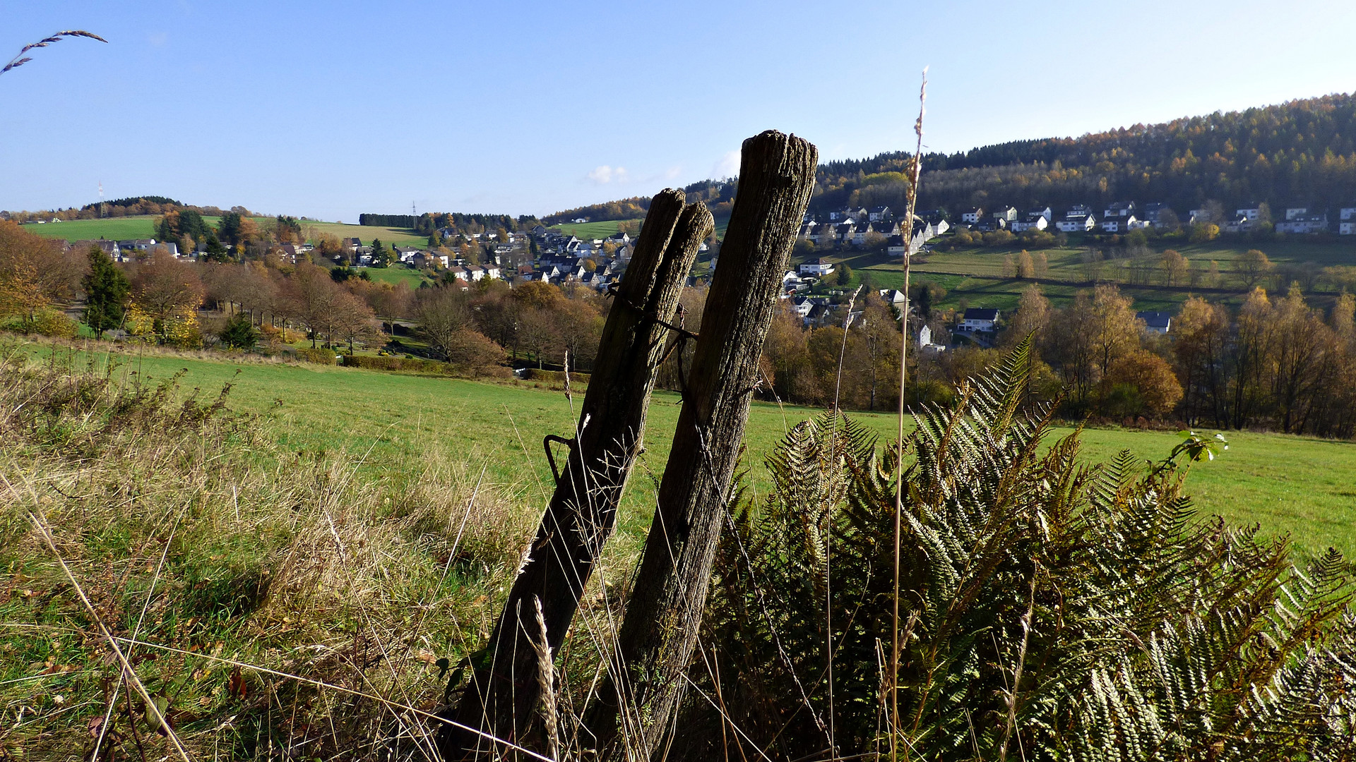 Blick auf Gosenbach 1