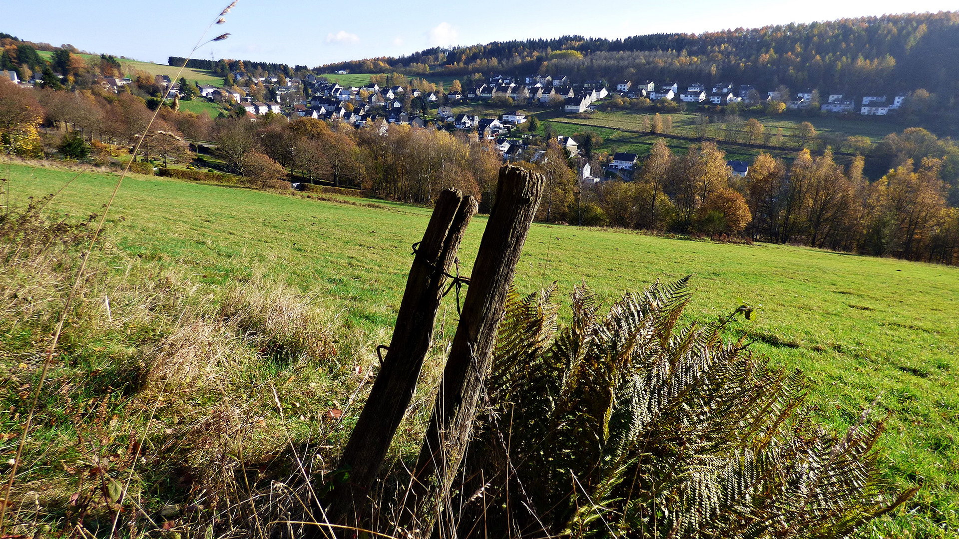 Blick auf Gosenbach