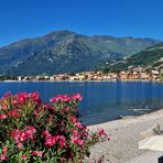 Blick auf Gravedona - Comer See