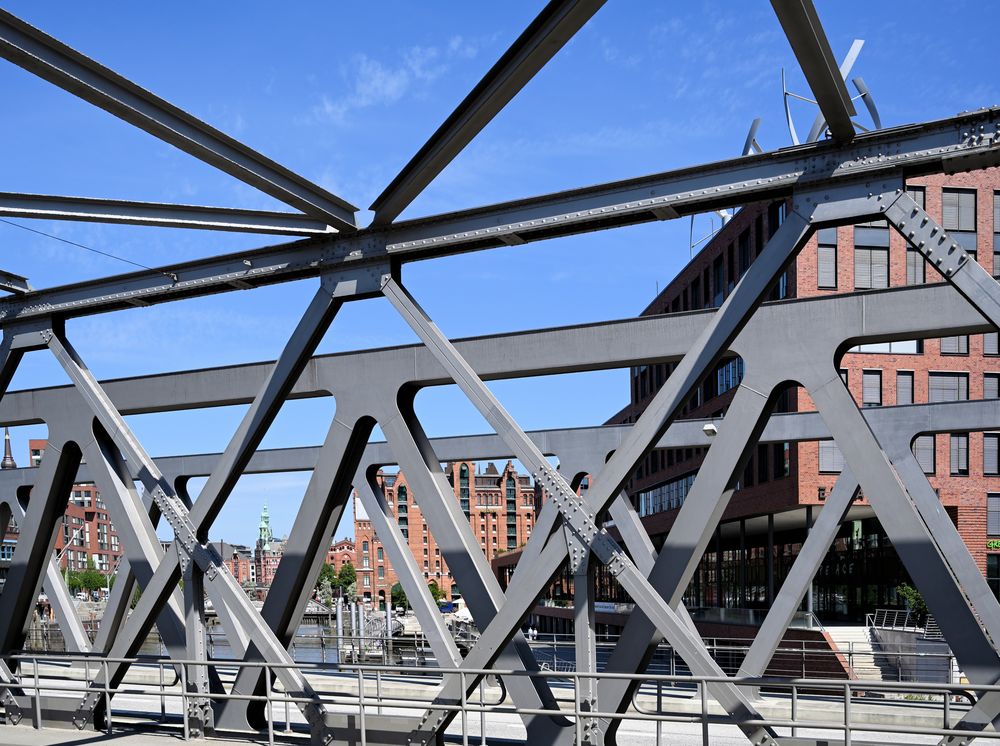 Blick auf Greenpeace, Maritimes Museum u. Speicherstadt