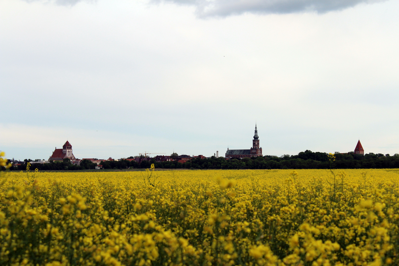 Blick auf Greifswald