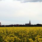 Blick auf Greifswald