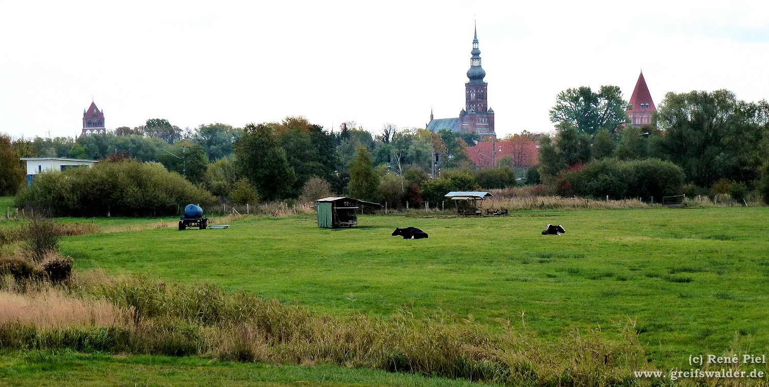 Blick auf Greifswald