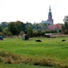 Blick auf Greifswald