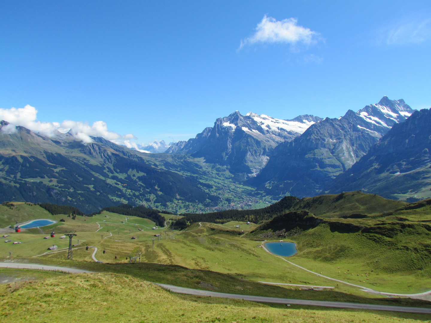 Blick auf Grindelwald