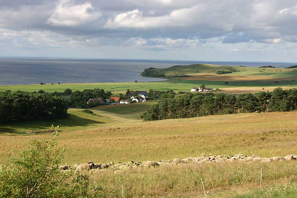 Blick auf Groß Zicker / Insel Rügen