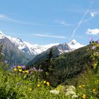 Blick auf Großklockner von der Maiskogelalm