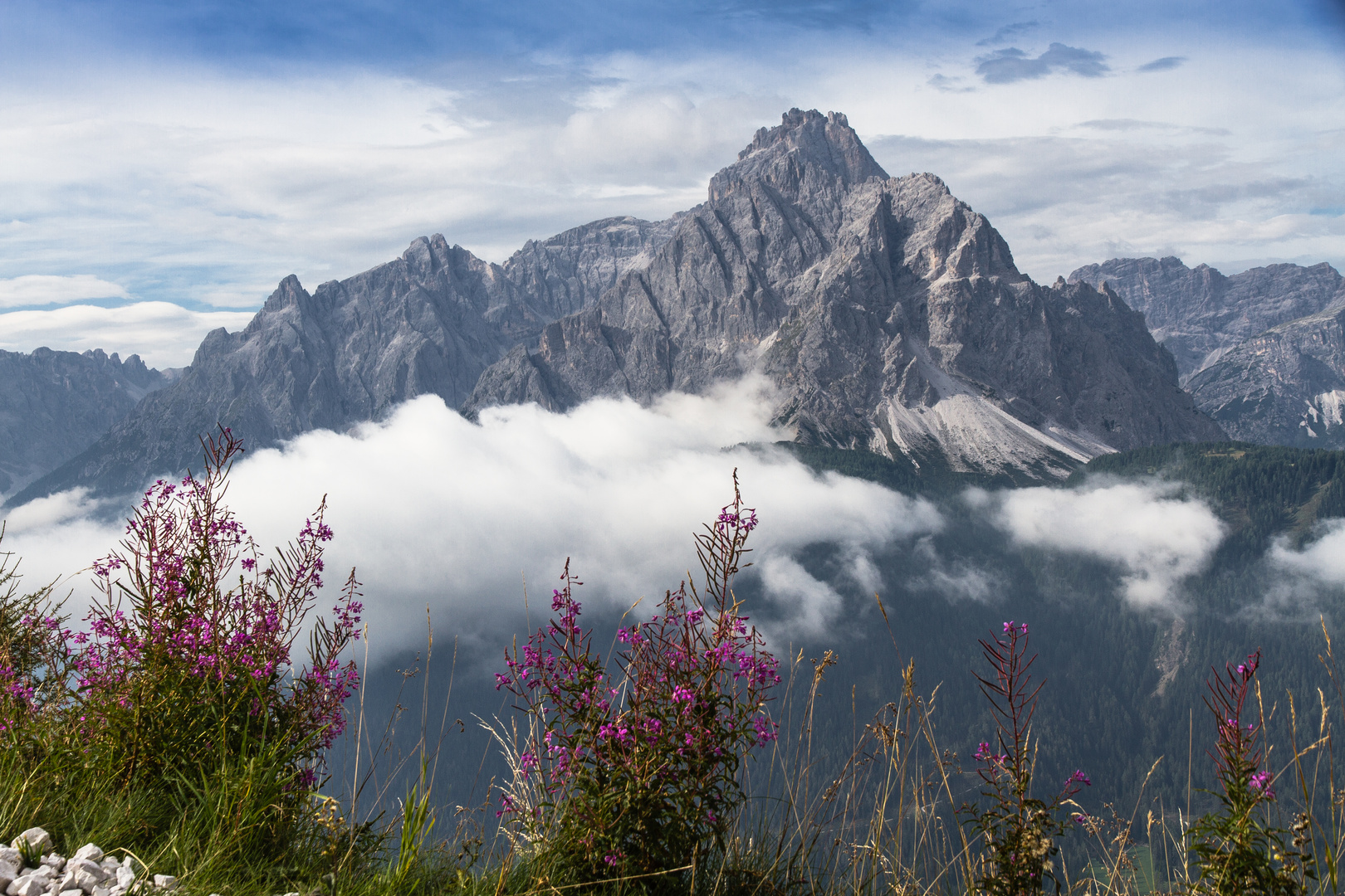 Blick auf Gsellknoten