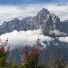 Blick auf Gsellknoten