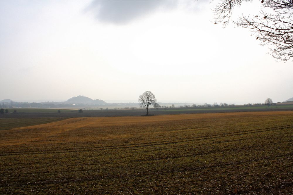 Blick auf Gudensberg