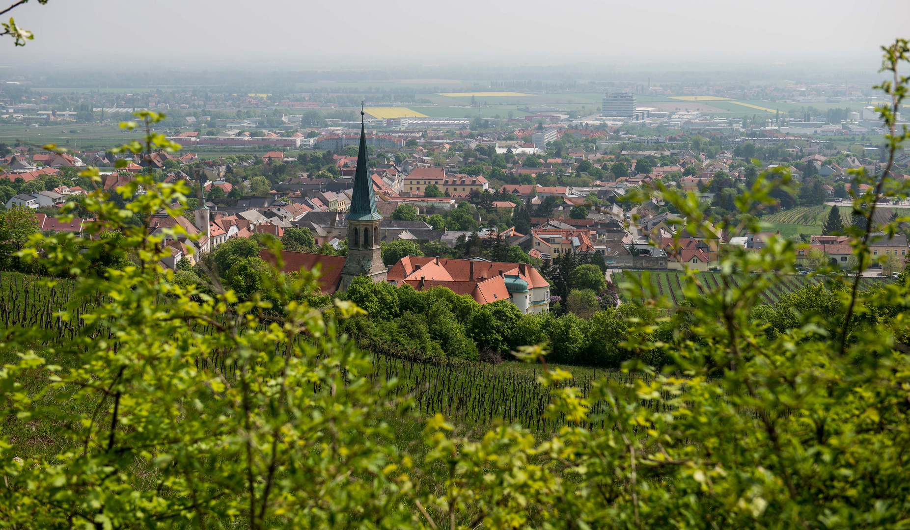 Blick auf Gumpoldskirchen