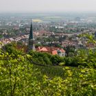 Blick auf Gumpoldskirchen