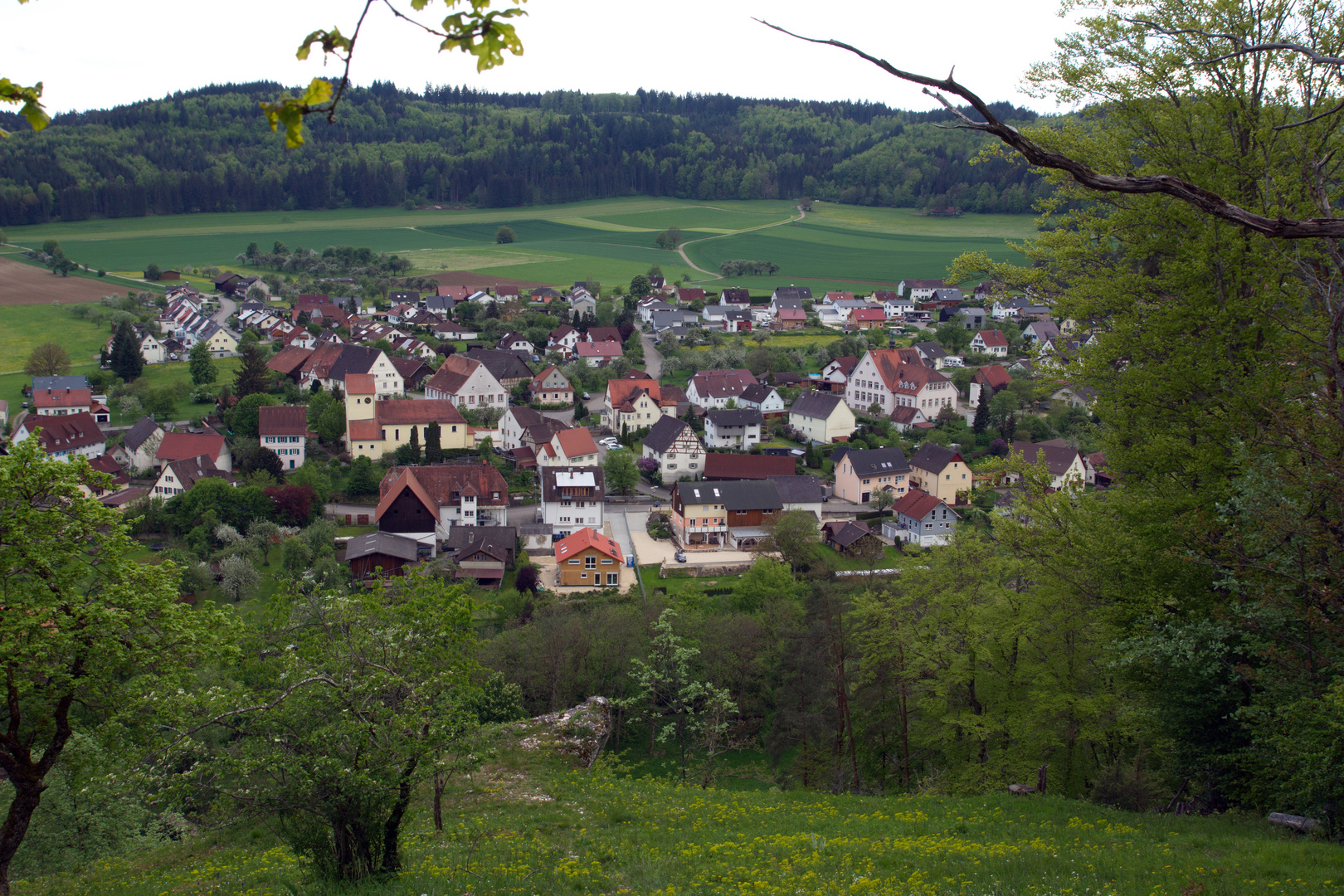 Blick auf Gutenstein