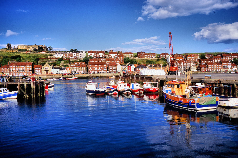 Blick auf Hafen und Abtei von Whitby