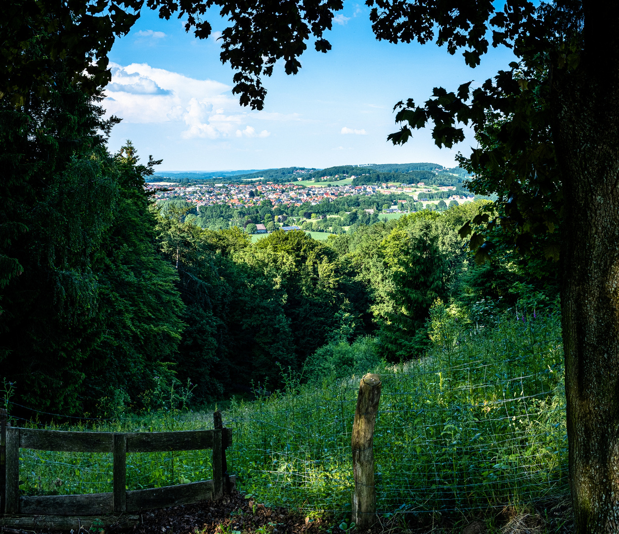 Blick auf Hagen im Teutoburger Wald