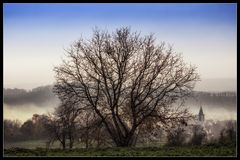 Blick auf Hagenbach (Bad Friedichshall)