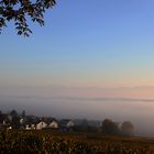 Blick auf Hagnau am Bodensee