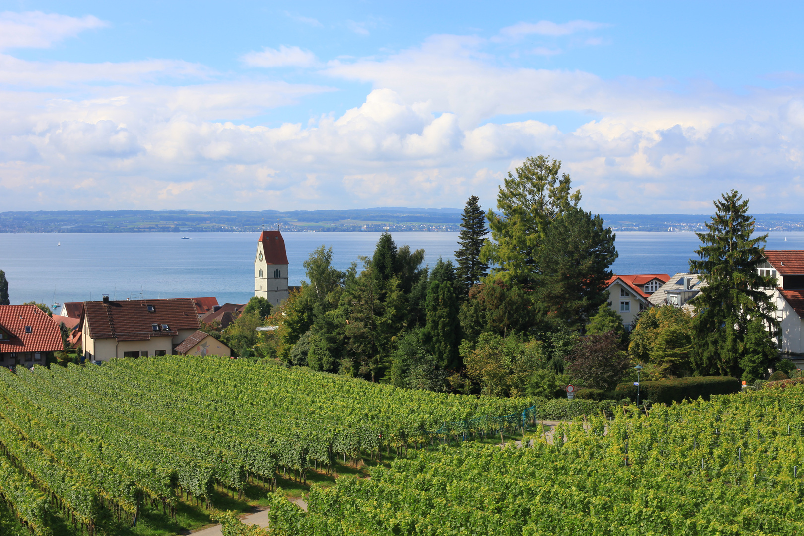 Blick auf Hagnau am Bodensee