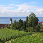 Blick auf Hagnau am Bodensee