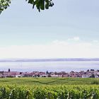 Blick auf Hagnau und den Bodensee