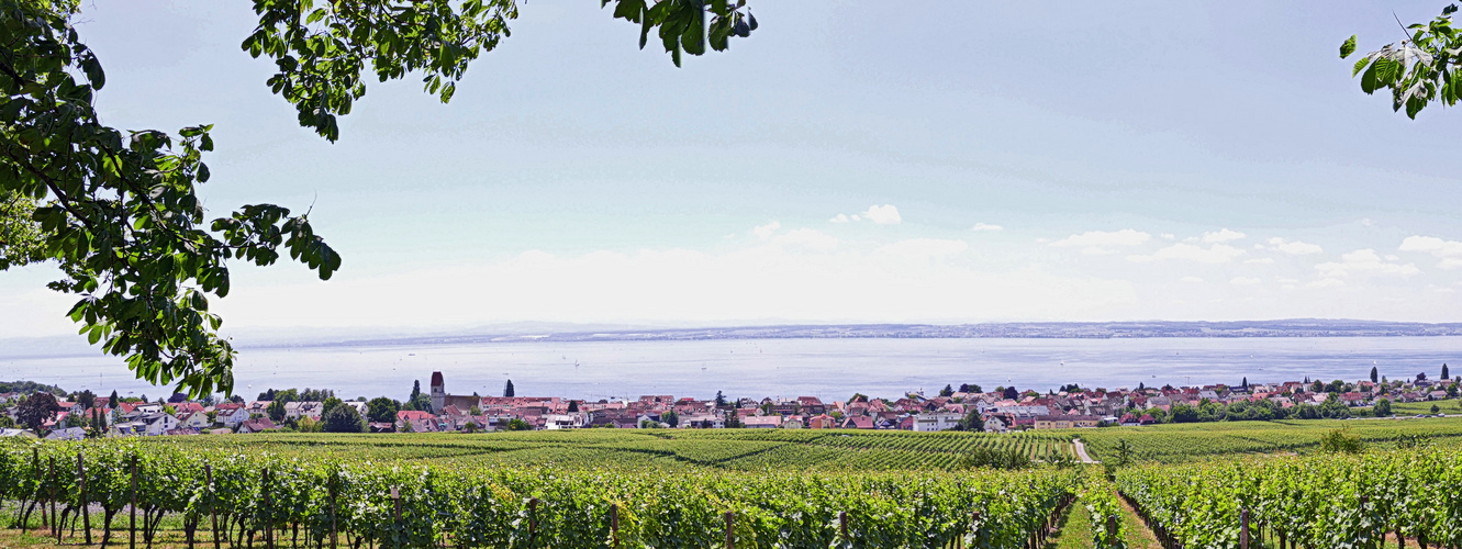 Blick auf Hagnau und den Bodensee