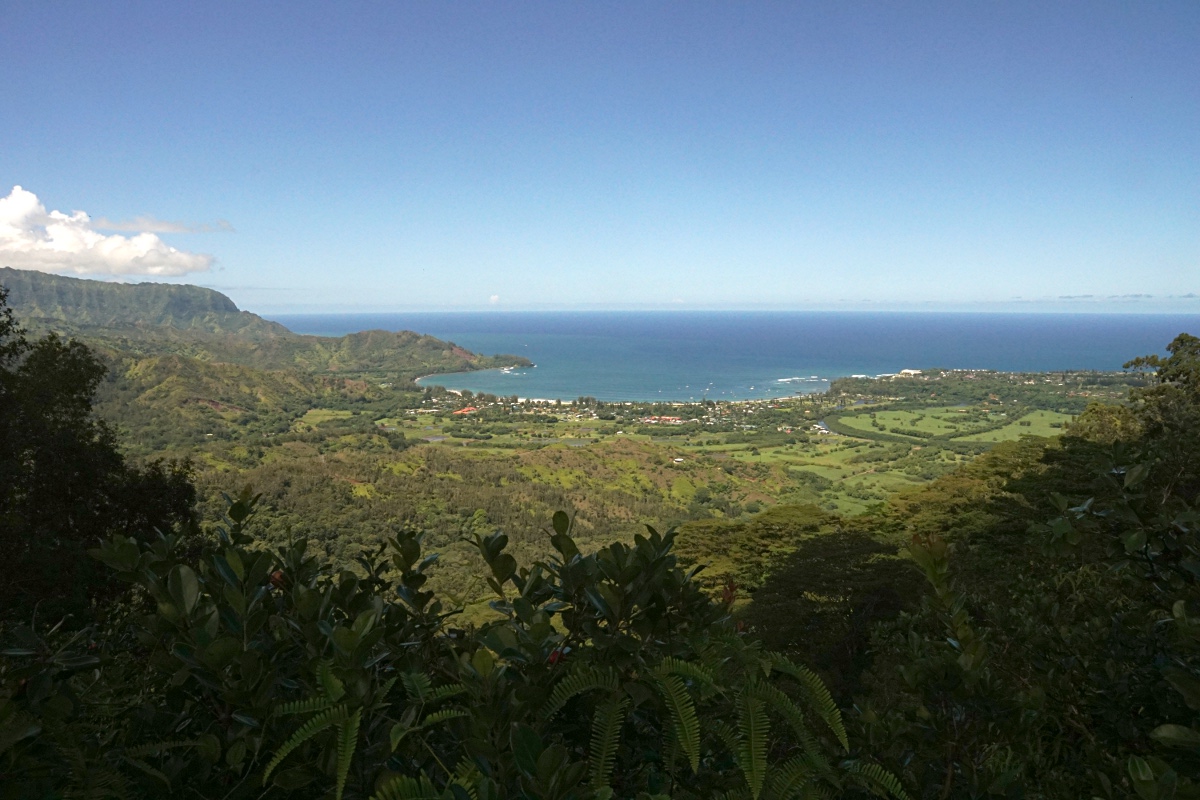 Blick auf Hanalei Bucht