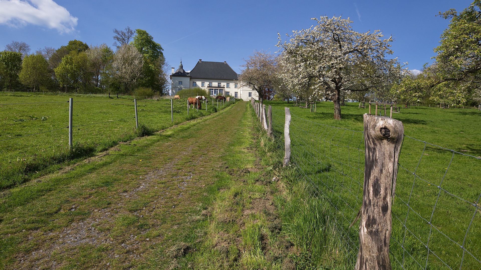 Blick auf Haus Opherdicke