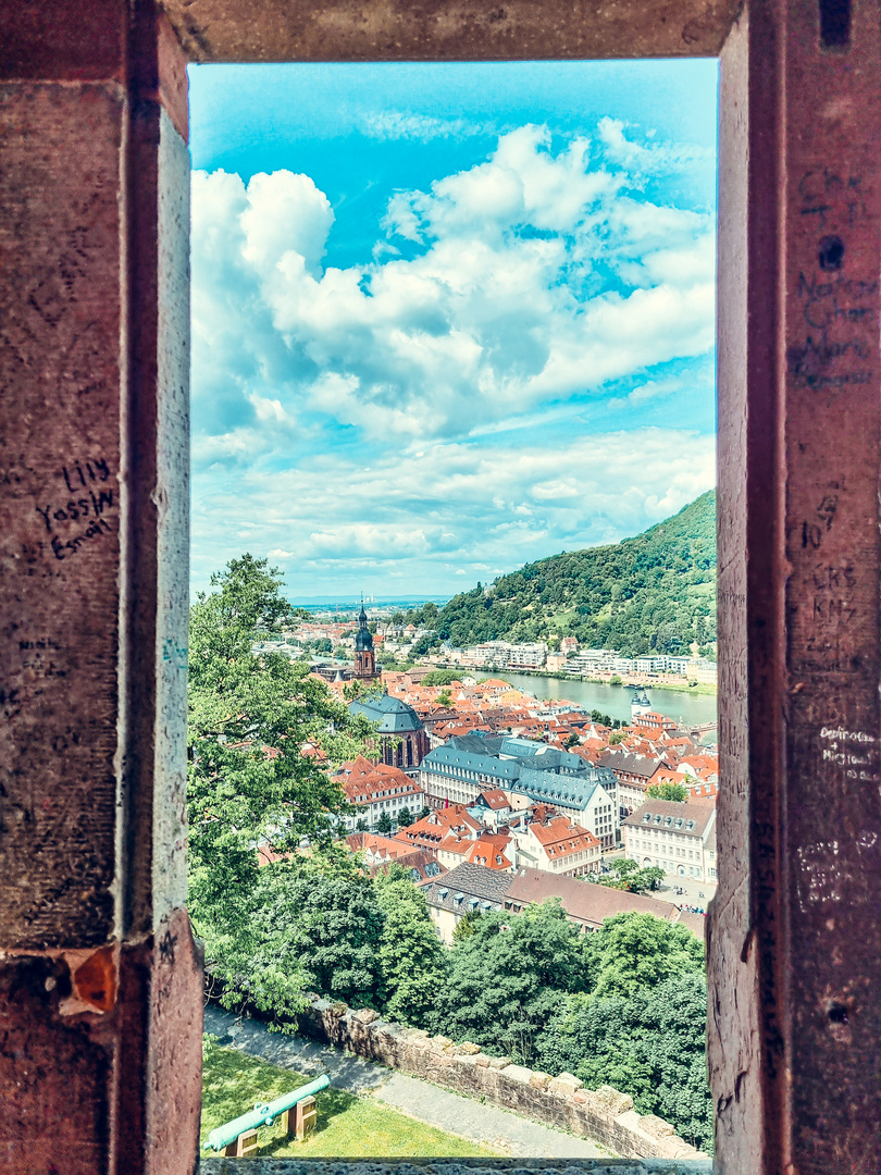 Blick auf Heidelberg