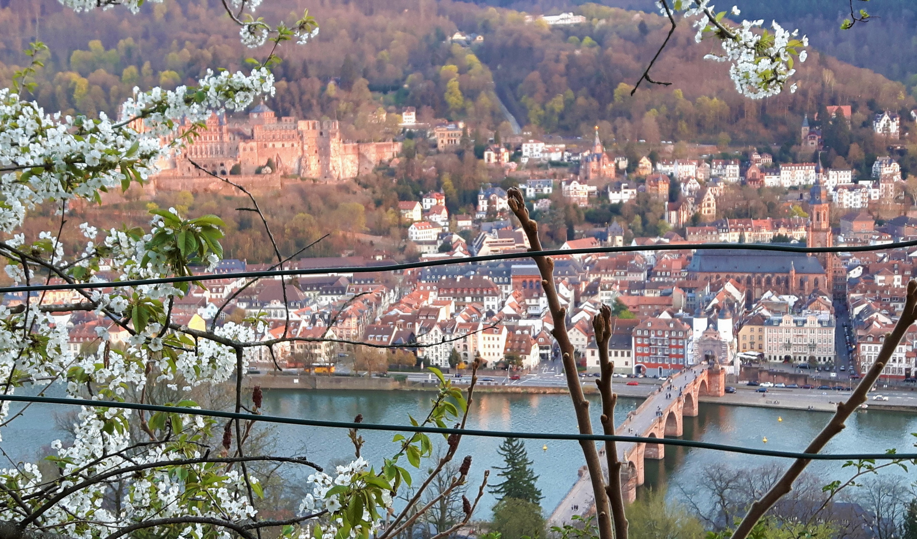 Blick auf Heidelberg