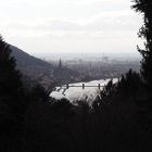 Blick auf Heidelberg