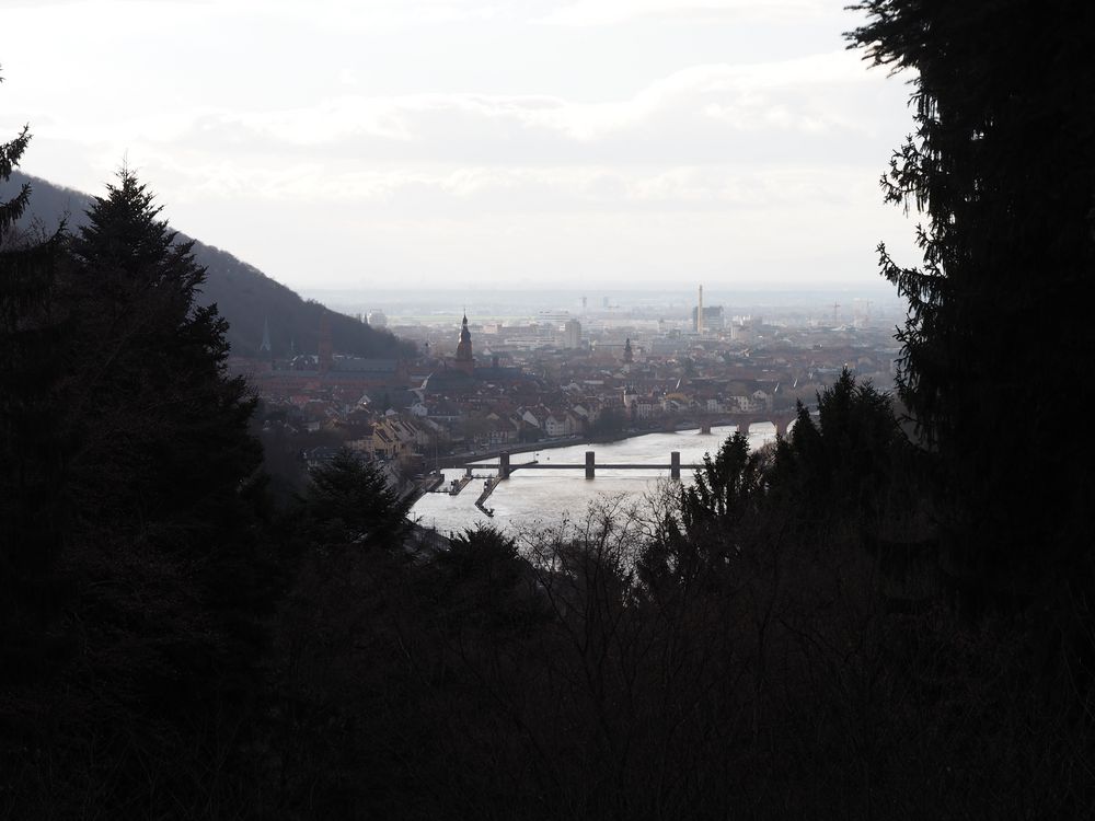 Blick auf Heidelberg