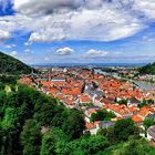 Blick auf Heidelberg