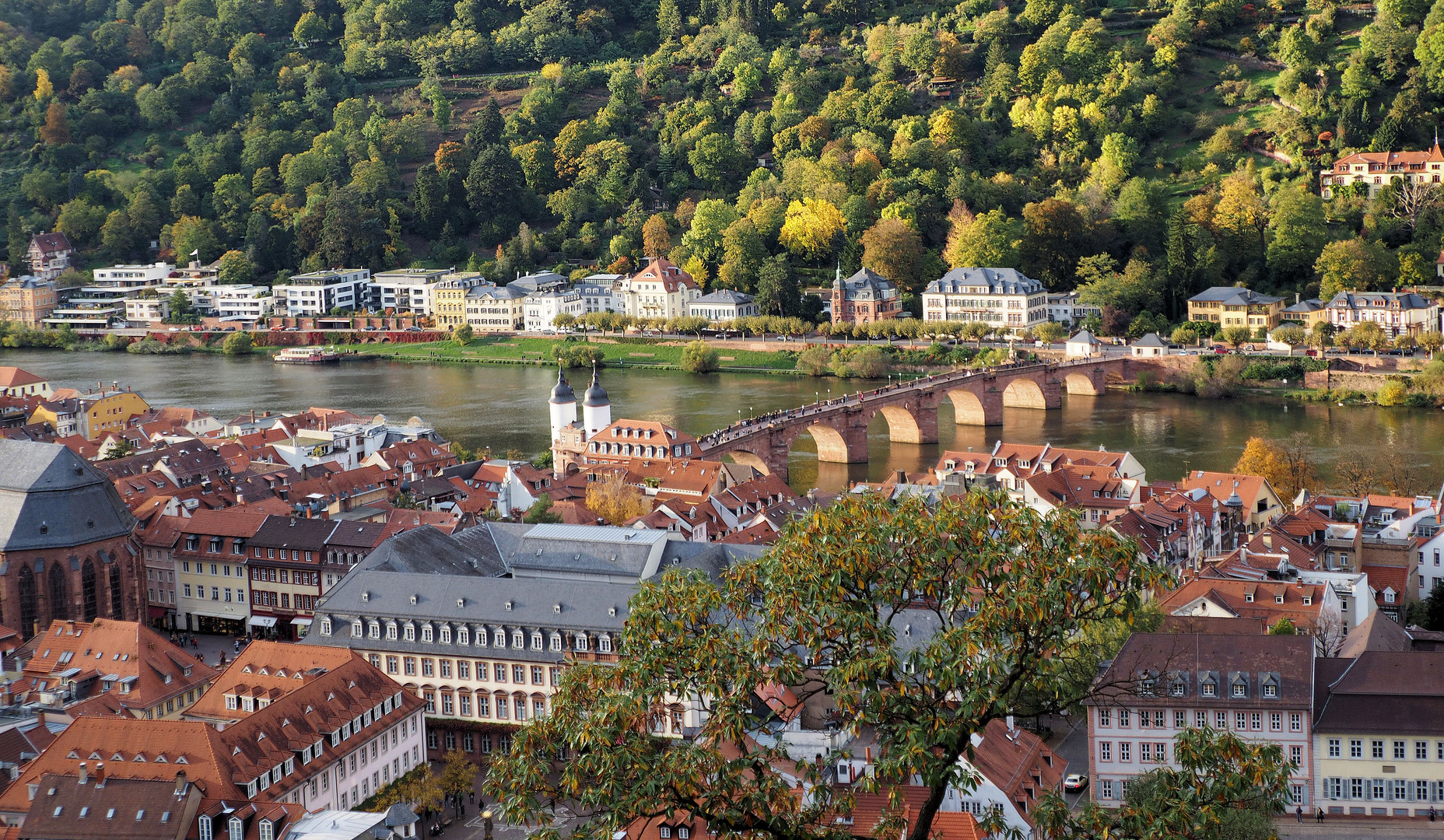 Blick auf Heidelberg ..