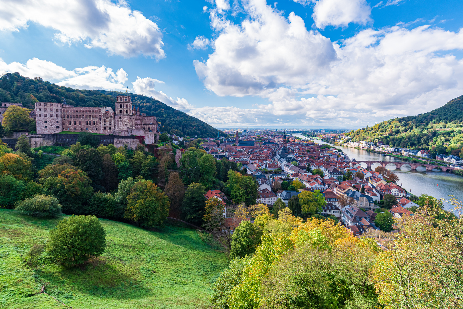 Blick auf Heidelberg mit Schloss