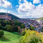 Blick auf Heidelberg mit Schloss