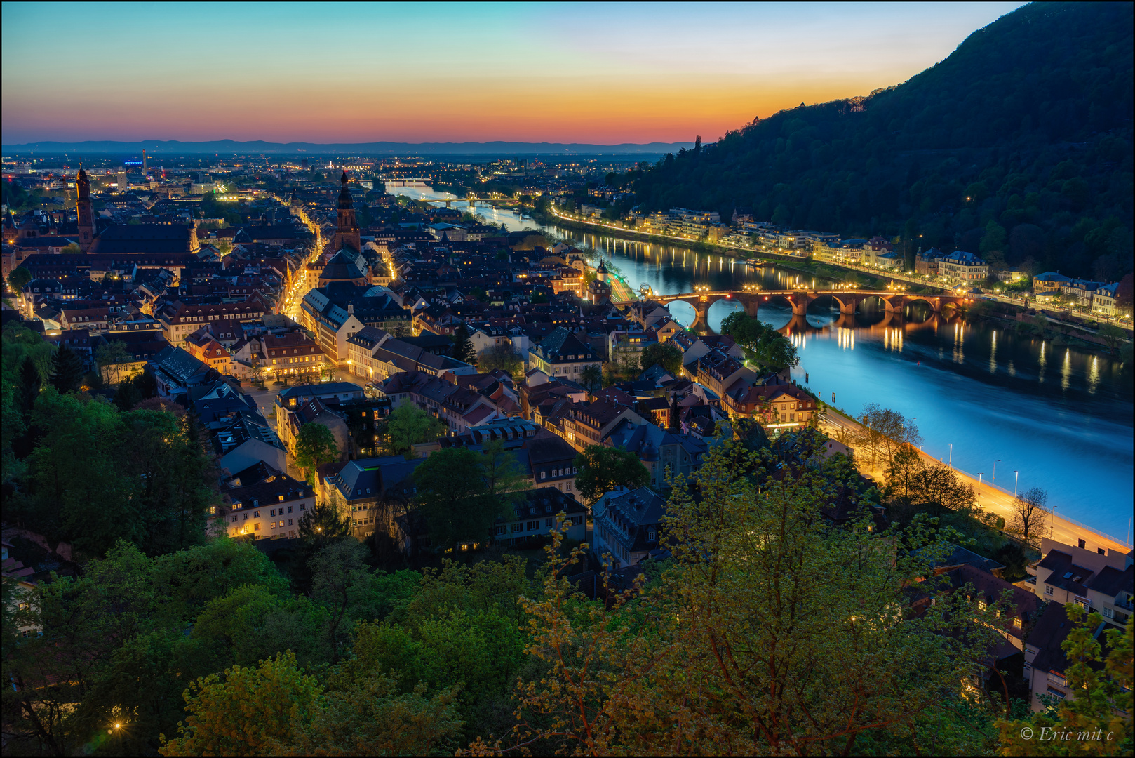 Blick auf Heidelberg und den Neckar