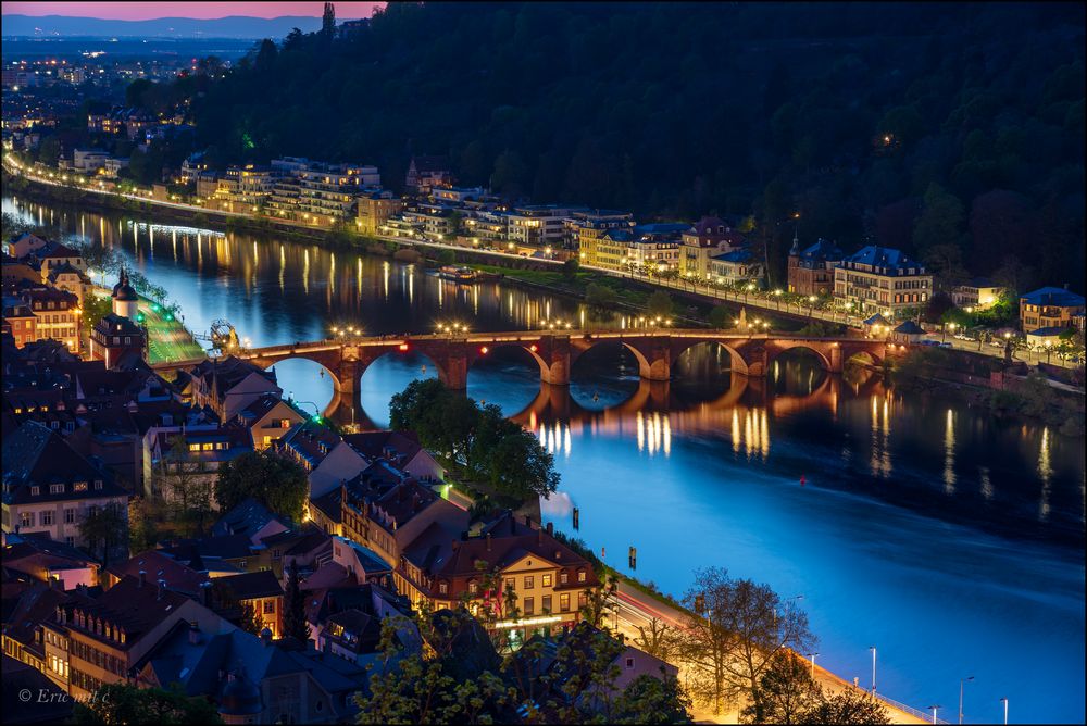 Blick auf Heidelberg und den Neckar II