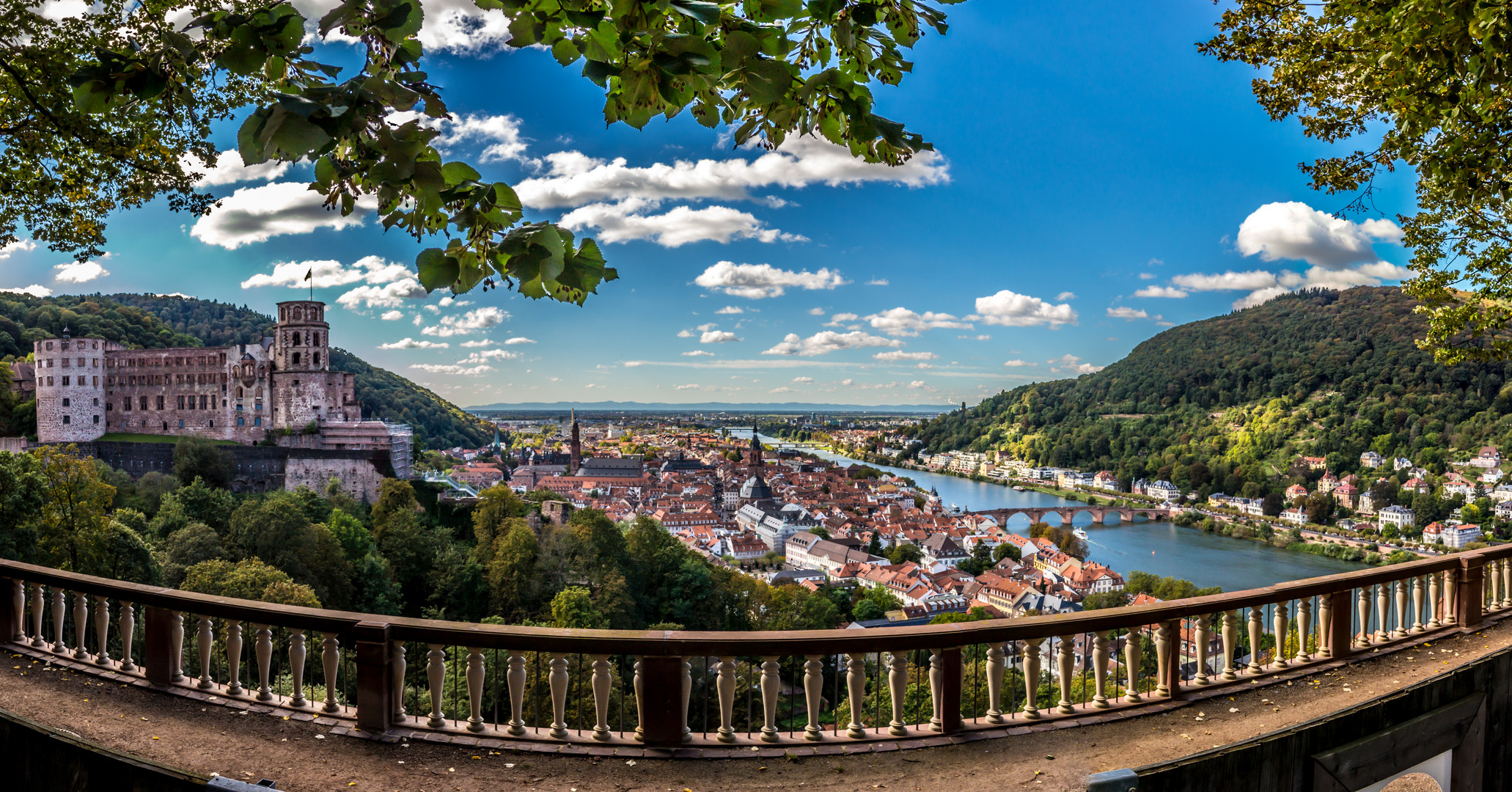 Blick auf Heidelberg und Schloß