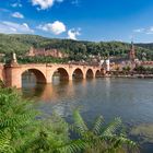 Blick auf Heidelberger Schloss