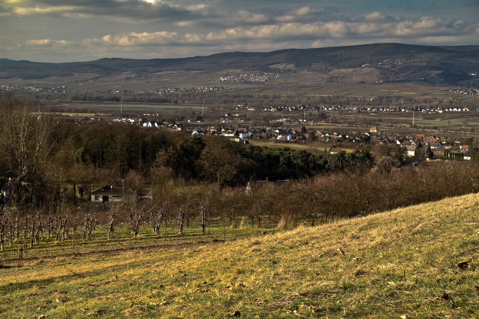 Blick auf Heidesheim und Heidenfahrt