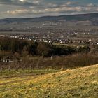 Blick auf Heidesheim und Heidenfahrt