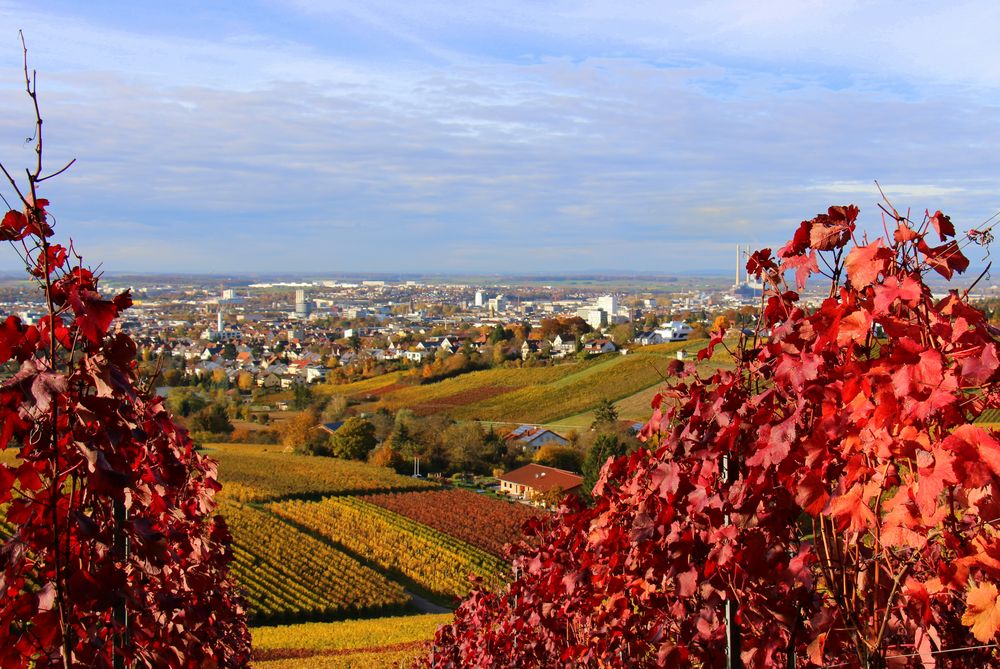 Blick auf Heilbronn