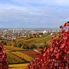 Blick auf Heilbronn