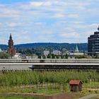 Blick auf Heilbronn