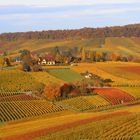 Blick auf Heilbronn vom Gaffenberg 