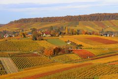 Blick auf Heilbronn vom Gaffenberg 