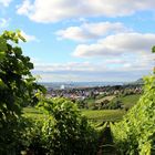 Blick auf Heilbronn vom Gaffenberg