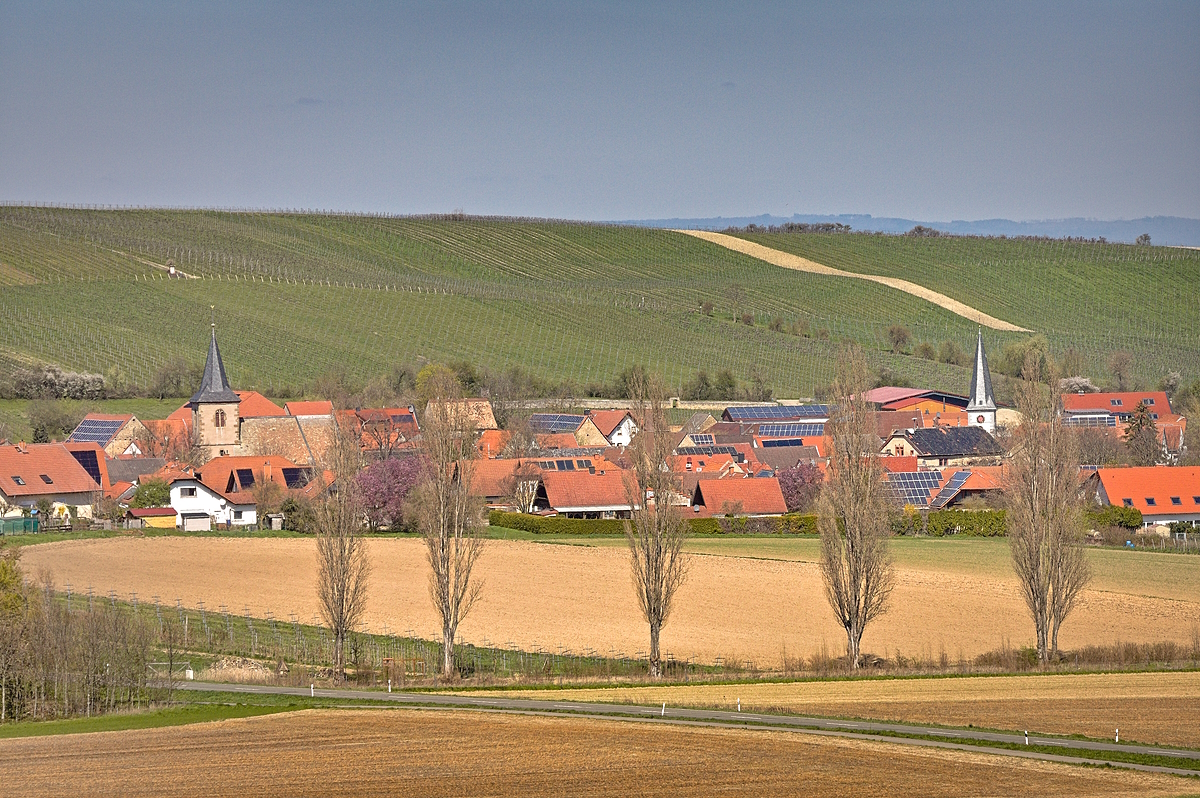 Blick auf Heimersheim